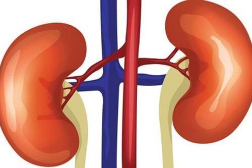 Số người cần điều trị thay thế thận ngày càng gia tăng