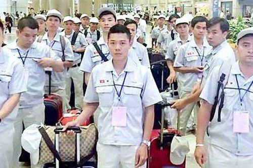 Vi phạm cư trú bất hợp pháp: 8 huyện, thành phố bị dừng tuyển lao động đi Hàn Quốc
