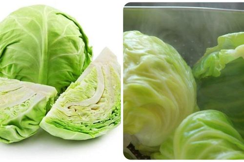 Những người không nên ăn bắp cải