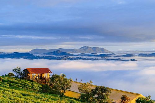 Kinh nghiệm đi Đà Lạt: 5 đồi săn mây lý tưởng nhất
