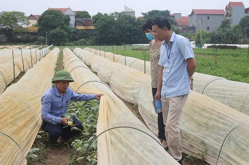 Ngăn chặn tình trạng đất nông nghiệp bỏ hoang