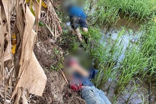 Dẫm vào bẫy điện diệt chuột, 2 thanh niên cùng thôn tử vong
