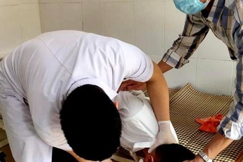 Ăn hạt quả ngô đồng, 11 học sinh ở Hà Tĩnh nhập viện cấp cứu