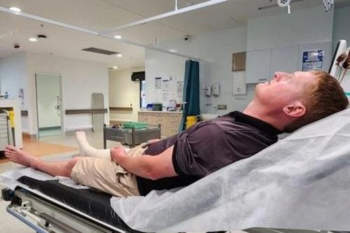 Ông bố Australia bị rắn độc cắn khi cứu con gái