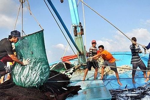 Chuyển đổi một số nghề khai thác hải sản ảnh hưởng đến môi trường sinh thái