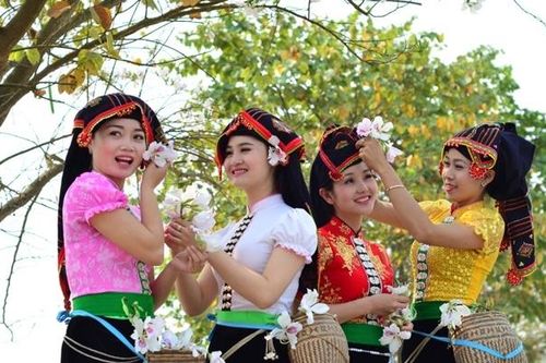 Tỉnh Điện Biên điều chỉnh thời gian khai mạc Lễ hội Hoa Ban 2023