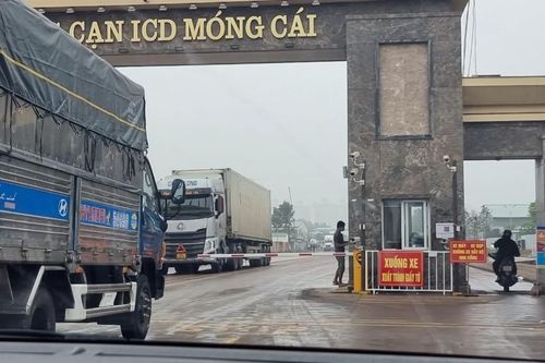 Cơ hội xuất khẩu thủy sản sang thị trường tỷ dân