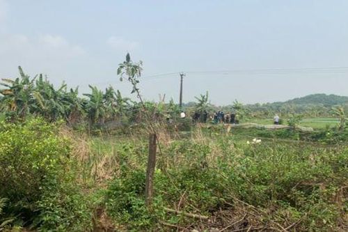 Hai nam thanh niên tử vong bất thường bên bờ ao