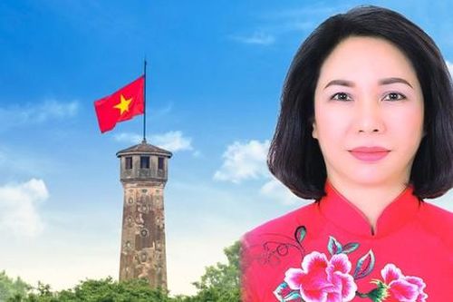 Chân dung tân Phó Chủ tịch UBND thành phố Hà Nội Vũ Thu Hà