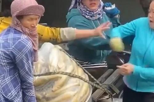 Người phụ nữ đánh tới tấp bà bán bắp dạo bị phạt 6,5 triệu đồng