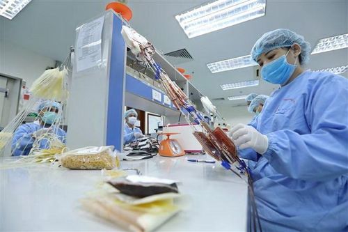 Hội nghị tiêu điểm của Hội Huyết học Mỹ lần đầu diễn ra tại Việt Nam
