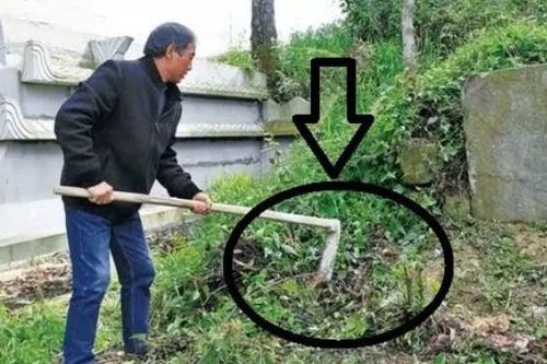 Tổ tiên đã dặn: '3 không trồng trước mộ, 4 không để trên giường', đó là những thứ gì?