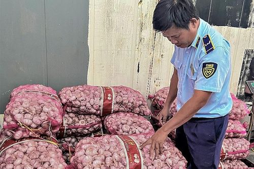 Hậu Giang: Quản lý thị trường phát hiện hơn 1,2 tấn tỏi không rõ nguồn gốc