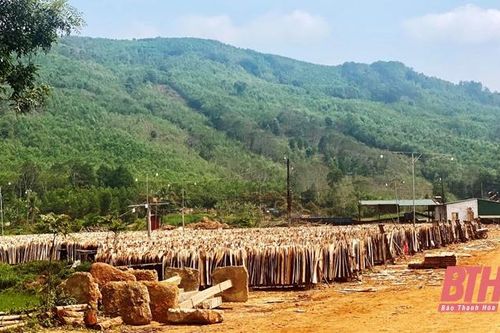 Cẩm Thủy nỗ lực phát triển doanh nghiệp mới