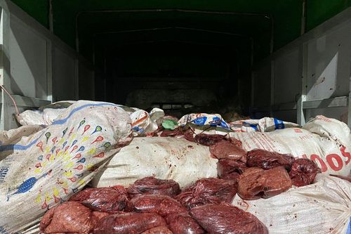 Ngăn chặn và tiêu hủy kịp thời gần 4 tấn thực phẩm bẩn tại Thái Nguyên