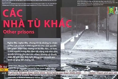 Khai mạc triển lãm 'Phút hồi sinh'