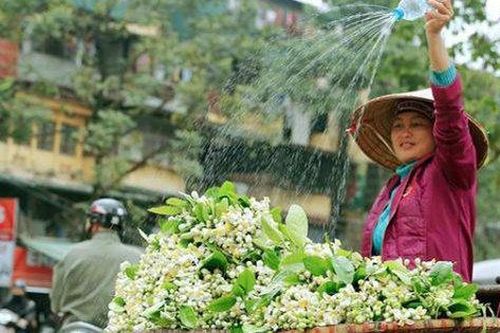 Mía ướp hoa bưởi - thức quà tháng 3 thanh tao, đặc trưng và rất ngon của người Hà Nội