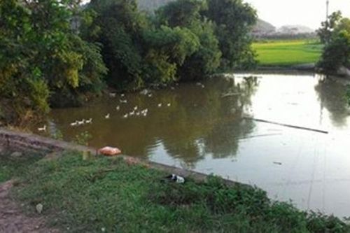 Điều tra nguyên nhân 2 người tử vong ở bờ ao