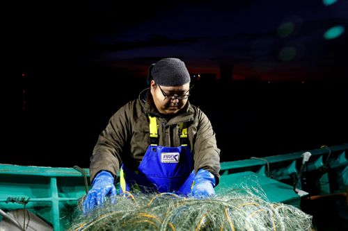 Ngư dân Nhật sợ hãi vì nước thải phóng xạ Fukushima
