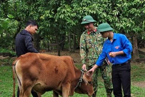 'Ngân hàng giống' vật nuôi, cây trồng của bộ đội Đoàn 337