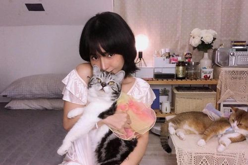 Nuôi thú cưng: Không chỉ là trào lưu