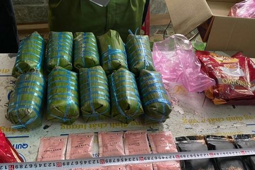 Triệt phá đường dây vận chuyển ma túy từ Lào về Việt Nam