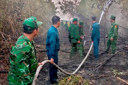 Kịp thời khống chế, dập tắt đám cháy rừng tràm ở Vĩnh Gia
