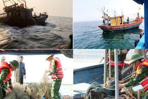 Bắt giữ 8 tàu giã cào khai thác tận diệt hải sản ở Hà Tĩnh