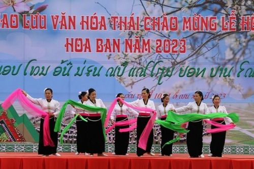 Rực rỡ lễ hội 'Mùa hoa ban' ở Sơn La