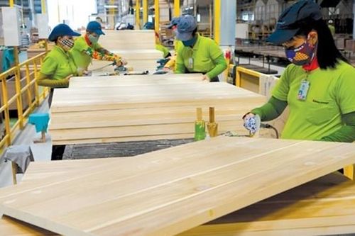 Bình Định chấp thuận nhà đầu tư dự án sản xuất gỗ gần 1.000 tỷ đồng