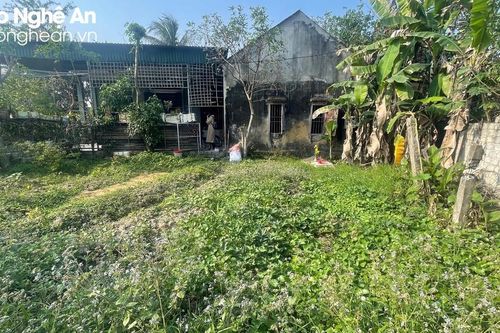Tá hỏa vì mảnh đất cha mẹ để lại 'không cánh mà bay'