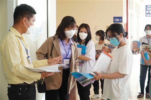 Mỗi lĩnh vực tuyển sinh đại học không nhất thiết có kỳ thi riêng