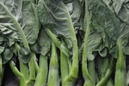 Lợi ích tuyệt vời của rau cải rổ
