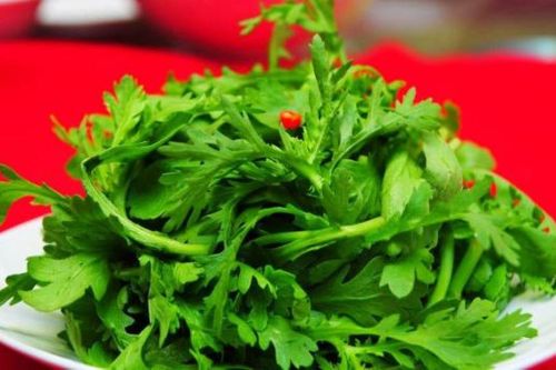 Những công dụng ''vàng'' của rau cải cúc đối với sức khỏe