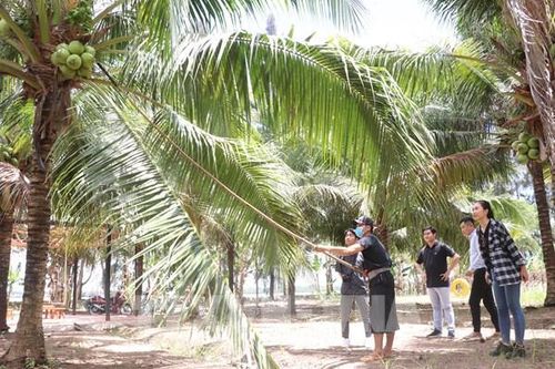 Tp. Hồ Chí Minh và các tỉnh Đồng bằng sông Cửu Long hợp tác phát triển kinh tế