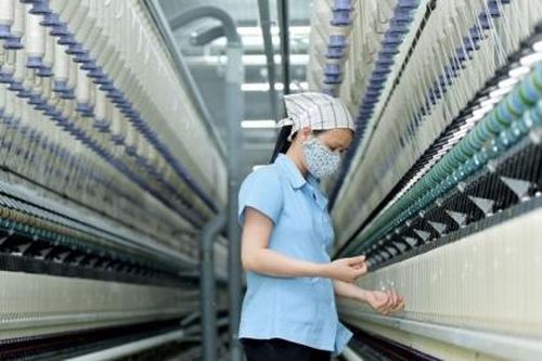 Sợi Thế Kỷ đặt mục tiêu dè dặt, muốn chia cổ tức tỷ lệ 15%