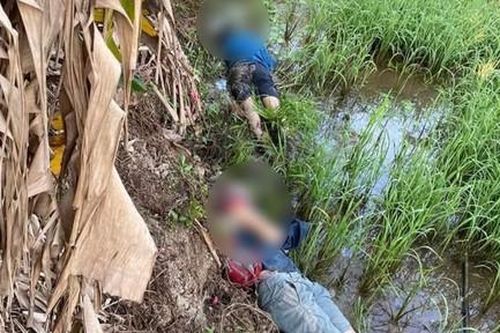 Đi bắt cá trong đêm, 2 thanh niên dẫm phải dây điện bẫy chuột tử vong