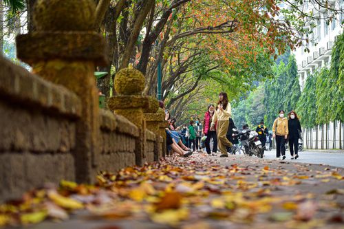 'Con đường tình yêu' ngập lá vàng hút hồn giới trẻ Hà Nội