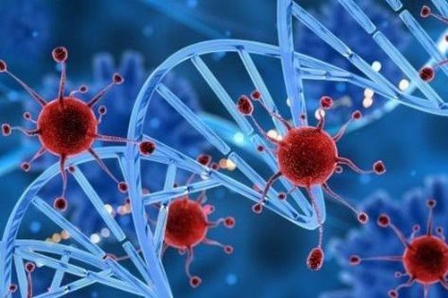 Liệu pháp miễn dịch trong điều trị Ung thư máu