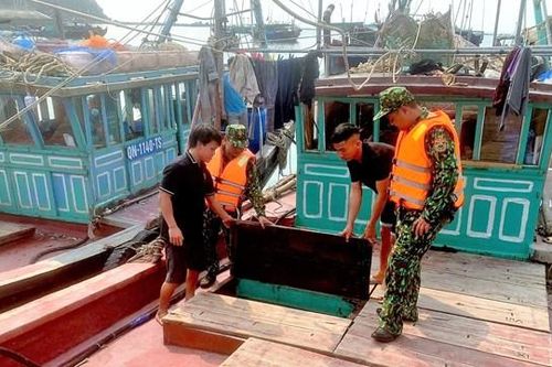 Quảng Ninh: Bắt giữ 6 tàu khai thác thủy sản trái phép