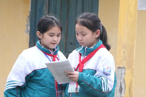 Nam Định chuẩn bị các bước tuyển sinh đầu cấp năm 2023
