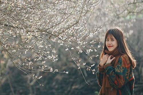 Mộc Châu nâng tầm sản phẩm du lịch