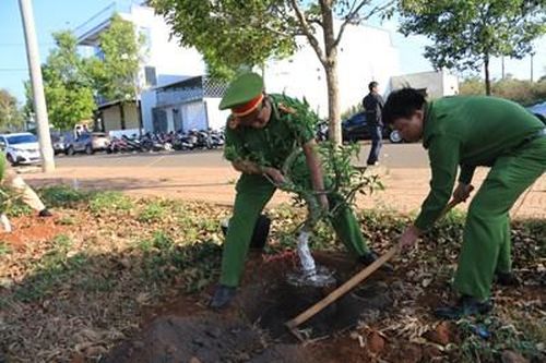 Sẽ có một 'Con đường hoa đào' tại thị xã Buôn Hồ