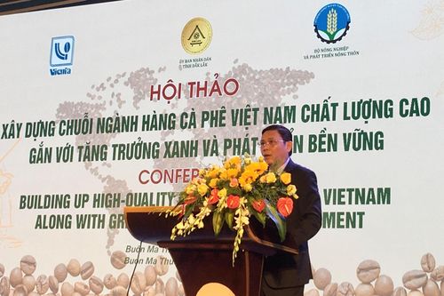 Đắc Lắk: Tập trung phát triển càphê chất lượng cao, bền vững