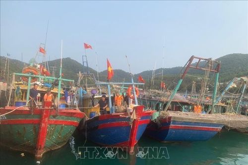 Bộ đội Biên phòng Quảng Ninh bắt giữ 6 tàu khai thác thủy sản trái phép