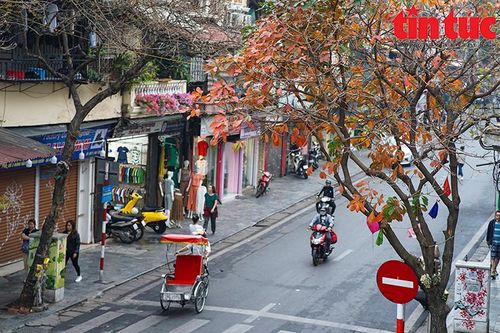 Một Hà Nội đẹp ngất ngây trong khúc giao mùa