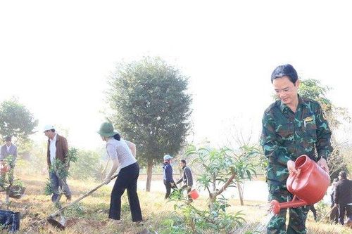 Đắk Lắk: Phát động trồng 500 gốc hoa đào để gợi mở hướng đi mới cho người dân