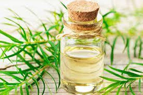 Liệu pháp tự nhiên giúp điều trị cảm cúm