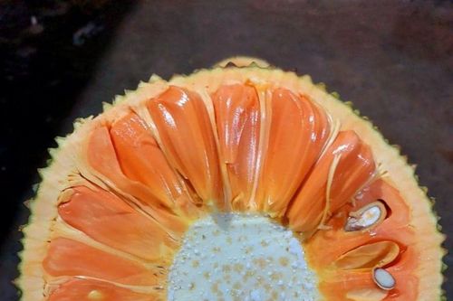 Tiêu dùng trong tuần (từ 6-12/3/2023): Mít ruột đỏ tăng giá chóng mặt, thương lái lùng mua từng quả