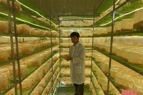 Thúc đẩy hoạt động sáng tạo trong thanh, thiếu niên